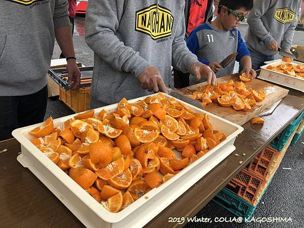 指宿馬 057.JPG 指宿馬 057.JPG