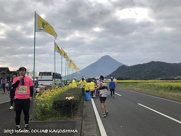 指宿馬 055.JPG 指宿馬 055.JPG