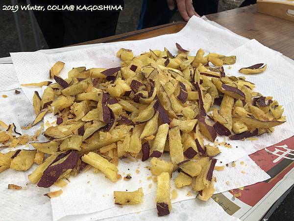 指宿馬 068.JPG 指宿馬 068.JPG