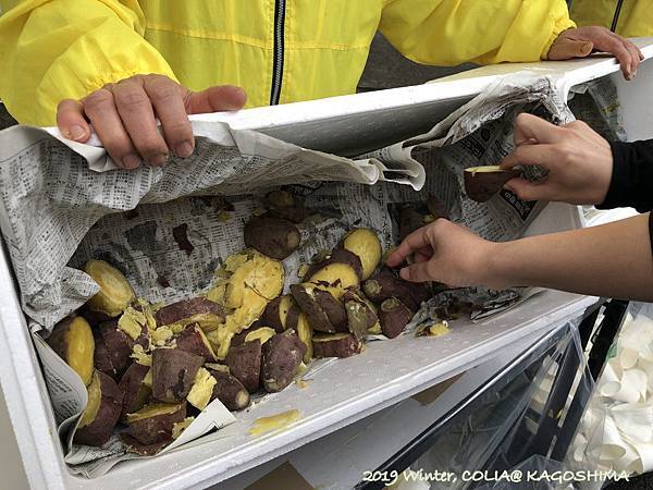 指宿馬 067.JPG 指宿馬 067.JPG