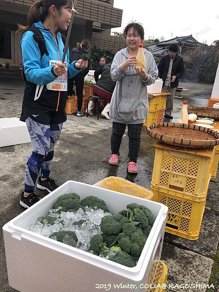 指宿馬 071.JPG 指宿馬 071.JPG