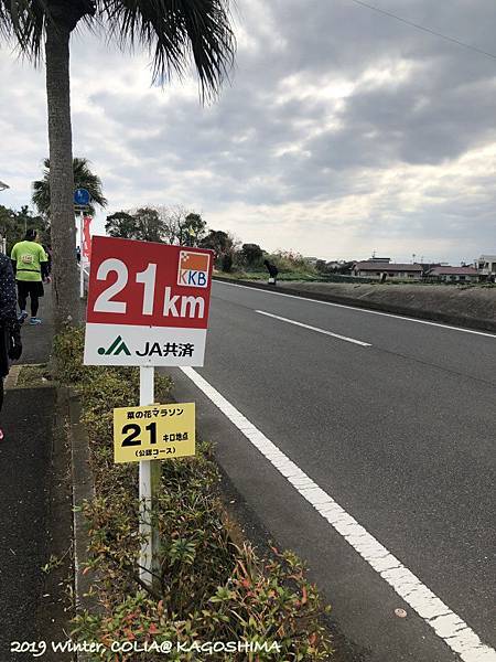 指宿馬 082.JPG 指宿馬 082.JPG