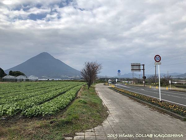 指宿馬 086.JPG 指宿馬 086.JPG