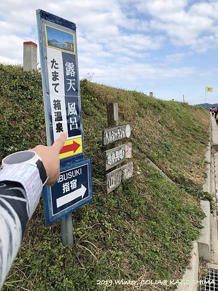 指宿馬 096.JPG 指宿馬 096.JPG