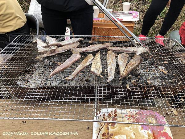 指宿馬 107.JPG 指宿馬 107.JPG