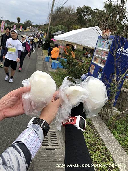 指宿馬 105.JPG 指宿馬 105.JPG