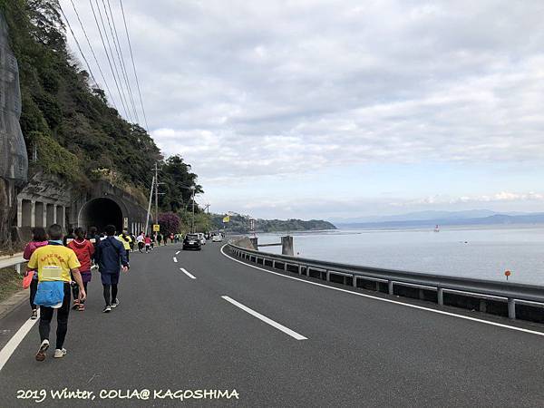 指宿馬 115.JPG 指宿馬 115.JPG