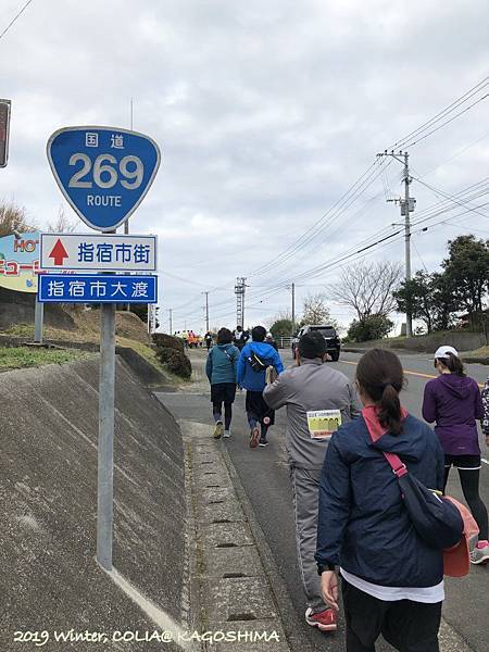 指宿馬 116.JPG 指宿馬 116.JPG