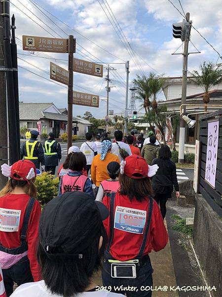 指宿馬 120.JPG 指宿馬 120.JPG