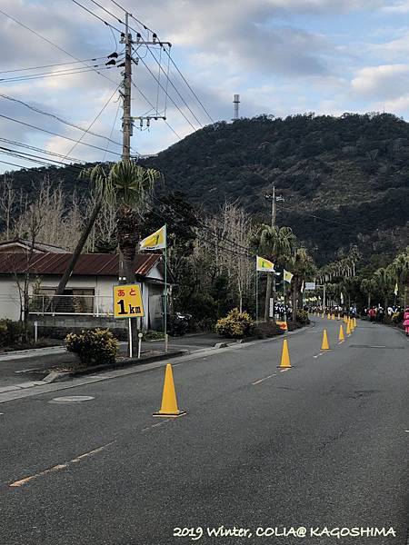 指宿馬 125.JPG 指宿馬 125.JPG