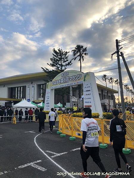 指宿馬 126.JPG 指宿馬 126.JPG