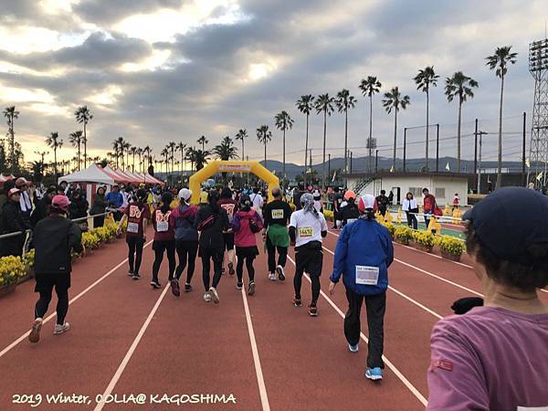 指宿馬 127.JPG 指宿馬 127.JPG