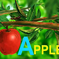 apple