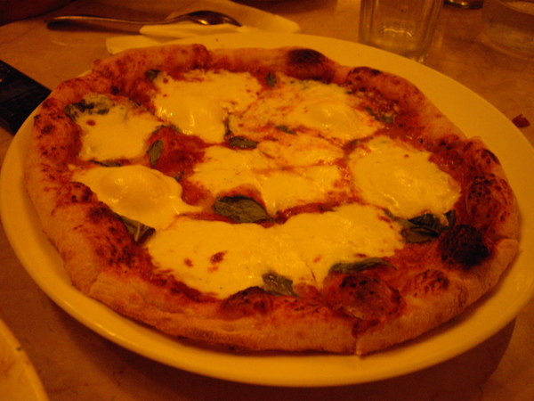 IMGP0664.JPG