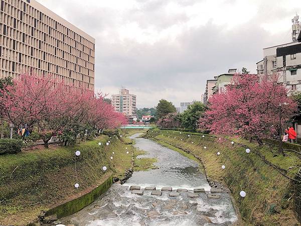 LINE_ALBUM_櫻花跟五睹隧道_230211_4