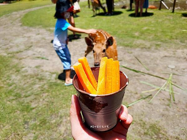 IMG20200613113119_n IMG20200613113119_n