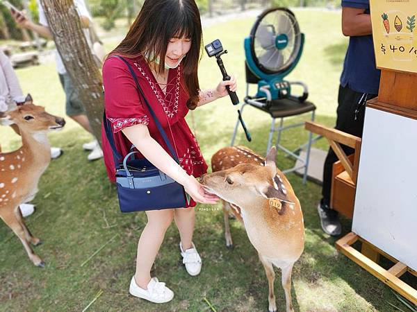 IMG20200613114624_n IMG20200613114624_n