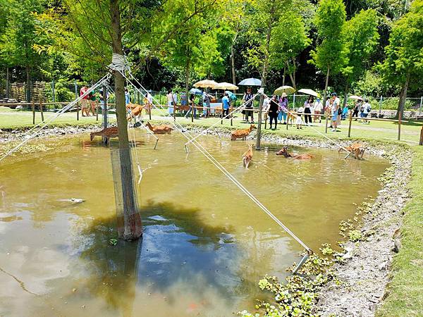 IMG20200613113015_n IMG20200613113015_n