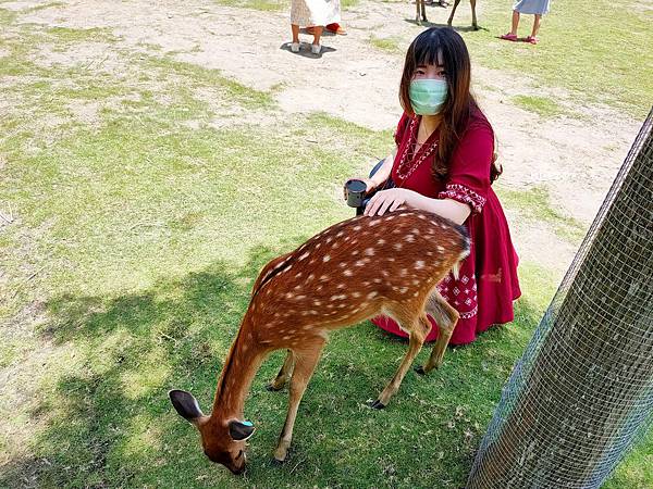 IMG20200613113613_n IMG20200613113613_n