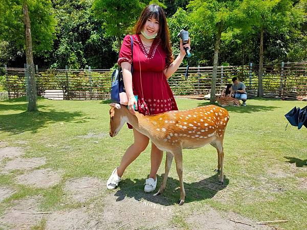 IMG20200613114129_n IMG20200613114129_n