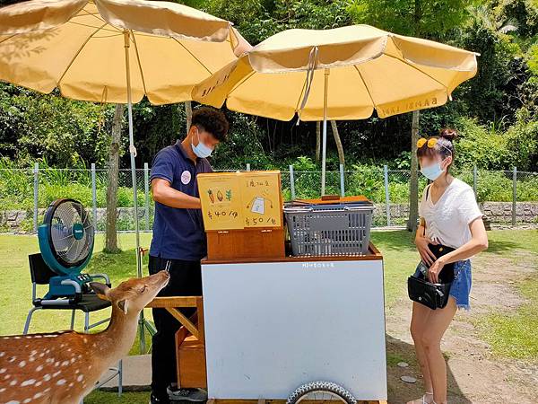 IMG20200613114556_n IMG20200613114556_n