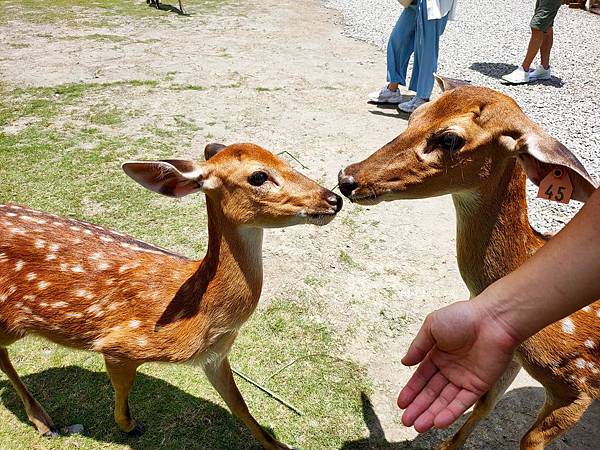 IMG20200613113931_n IMG20200613113931_n