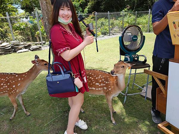 IMG20200613114611_n IMG20200613114611_n