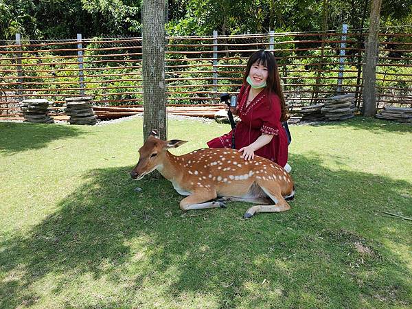 IMG20200613114223_n IMG20200613114223_n