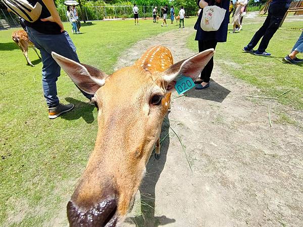 IMG20200613114730_n IMG20200613114730_n