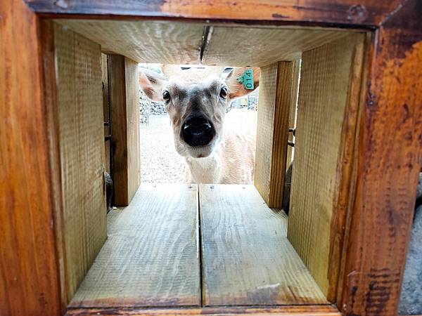 IMG20200613115008_n IMG20200613115008_n