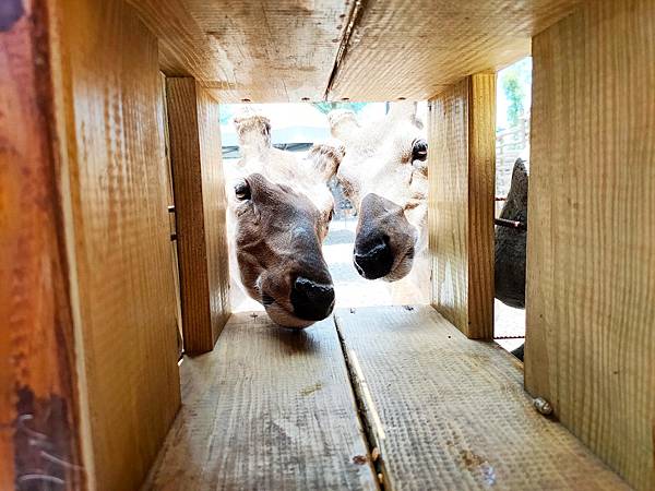 IMG20200613115646_n IMG20200613115646_n