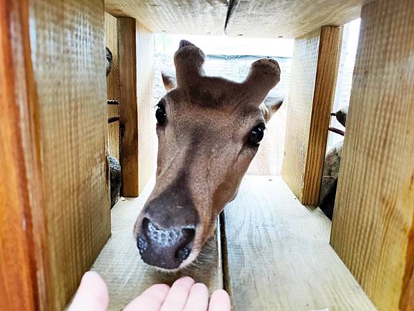 IMG20200613115016_n IMG20200613115016_n