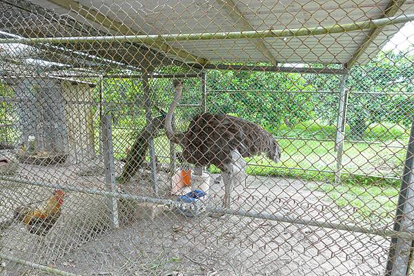 DSC06178_n DSC06178_n