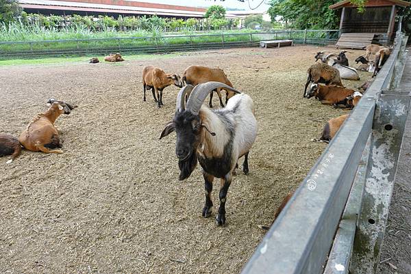 DSC06174_n DSC06174_n