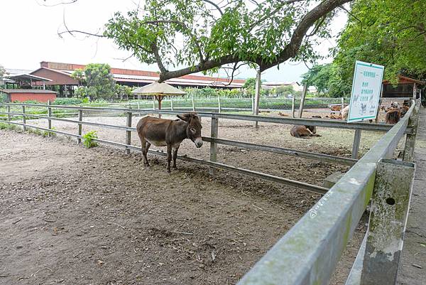 DSC06171_n DSC06171_n