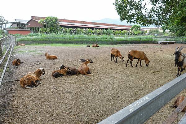 DSC06173_n DSC06173_n