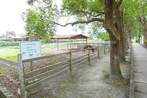 DSC06169_n DSC06169_n