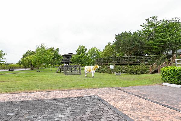 DSC06149_n DSC06149_n