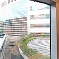 20130725_155226.jpg