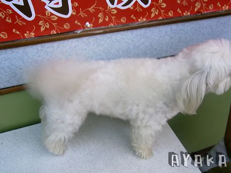 下一張(熱鍵:c)