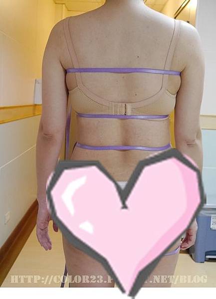 塑身衣量身訂製 塑身衣量身訂製