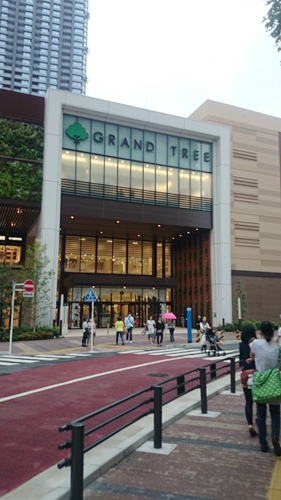 549.jpg 549.jpg