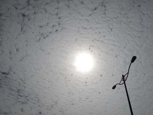 IMG_2838 IMG_2838