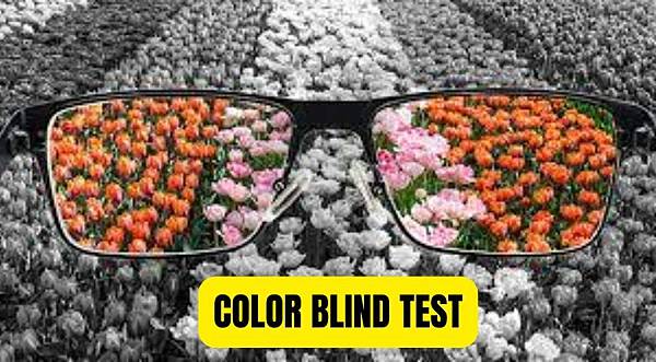 Different Types of Color Blind