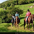 exp-domaine-2.jpg