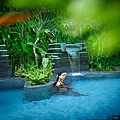 Balinese Bathing Pool_conversion.jpg