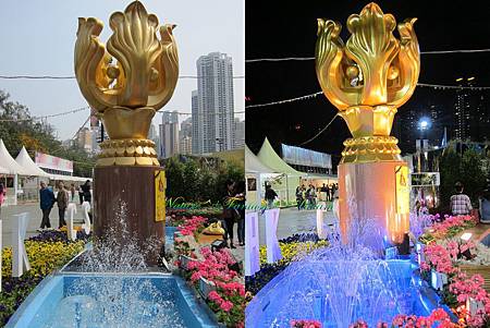 Golden Bauhuia in Day&night.jpg