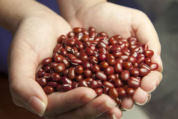 red-beans-587592_1920.jpg