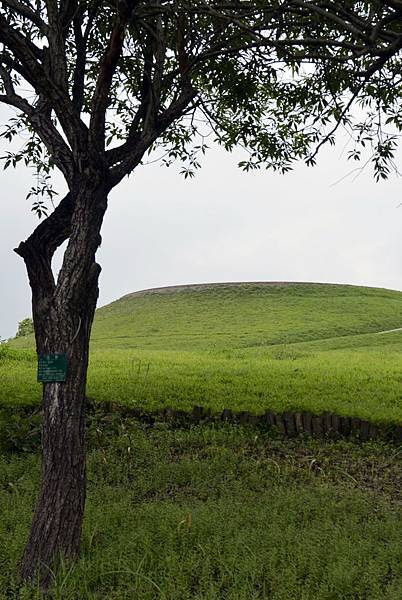 羅東運動公園&傳藝中心 (40).JPG