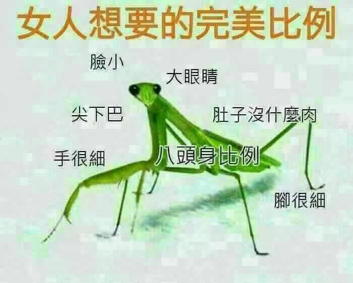 1514180105177 1514180105177